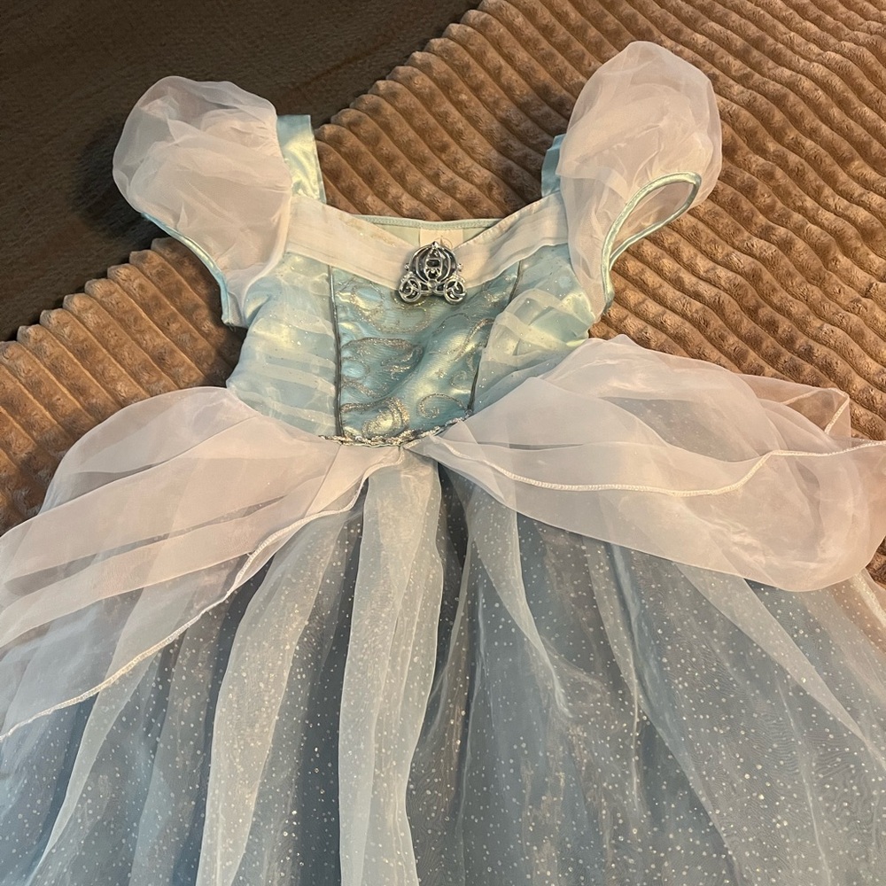 Disney Cinderella Costume